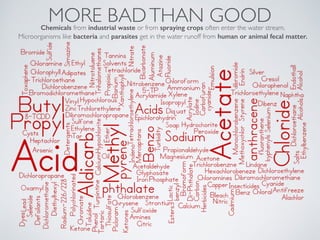 MORE BADTHAN GOODChemicals from industrial waste or from spraying crops often enter the water stream.
Microorganisms like bacteria and parasites get in the water runoff from human or animal fecal matter.
 