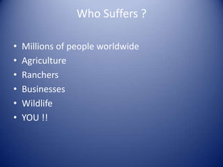 Who Suffers ?

•   Millions of people worldwide
•   Agriculture
•   Ranchers
•   Businesses
•   Wildlife
•   YOU !!
 