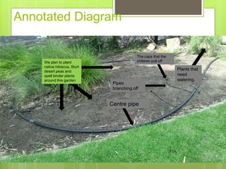 Annotated Diagram
Centre pipe
Pipes
branching off
The caps that the
children pull offWe plan to plant
native hibiscus, Sturt
desert peas and
spell binder plants
around this garden
bed.
Plants that
need
watering.
 