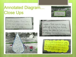 Annotated Diagram…
Close Ups
 