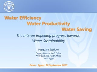 Water Efficiency
Water Productivity
Water Saving
Pasquale Steduto
Deputy Director FAO Office
Near East and North Africa
Cairo, Egypt
The mix-up impeding progress towards
Water Sustainability
Cairo - Egypt, 16 September 2015
 