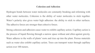 Cohesion and Adhesion
Hydrogen bonds between water molecules are constantly breaking and reforming with
other water molecules. Cohesion is the ability of water molecules to stick together.
Water’s polarity also gives water high adhesion: the ability to stick to other surfaces.
The adhesive forces are stronger than cohesive forces.
Strong cohesion and adhesion cause water to exhibit capillary action. Capillary action is
the process of liquid flowing through a narrow space without and often against gravity.
Water adheres to the walls of plants’ roots and rises up into the plant. Porous materials
such as water also exhibit capillary action. Trees can transport water through capillary
action over 100 meters.
 