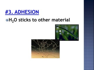 H2O sticks to other material 
 