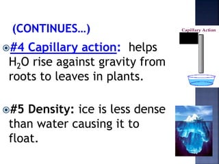 #4 Capillary action: helps 
H2O rise against gravity from 
roots to leaves in plants. 
#5 Density: ice is less dense 
than water causing it to 
float. 
 