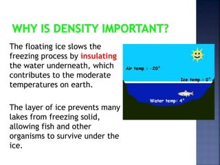 The floating ice slows the 
freezing process by insulating 
the water underneath, which 
contributes to the moderate 
temperatures on earth. 
The layer of ice prevents many 
lakes from freezing solid, 
allowing fish and other 
organisms to survive under the 
ice. 
 