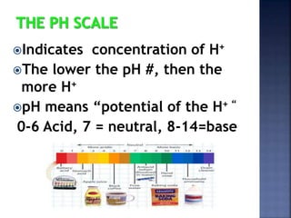 Indicates concentration of H+ 
The lower the pH #, then the 
more H+ 
pH means “potential of the H+ “ 
0-6 Acid, 7 = neutral, 8-14=base 
 