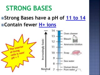 Strong Bases have a pH of 11 to 14 
Contain fewer H+ ions 
 