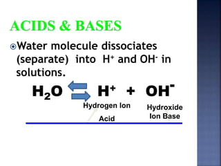 Water molecule dissociates 
(separate) into H+ and OH- in 
solutions. 
H 
O H+ + OH 
2 
- 
Hydrogen Ion 
Acid 
Hydroxide 
Ion Base 
 