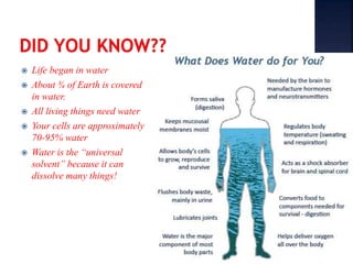  Life began in water 
 About ¾ of Earth is covered 
in water. 
 All living things need water 
 Your cells are approximately 
70-95% water 
 Water is the “universal 
solvent” because it can 
dissolve many things! 
 