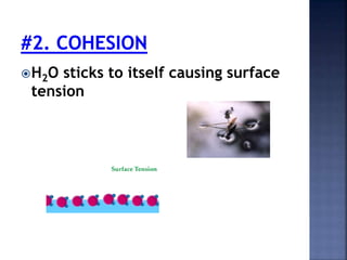 H2O sticks to itself causing surface 
tension 
 