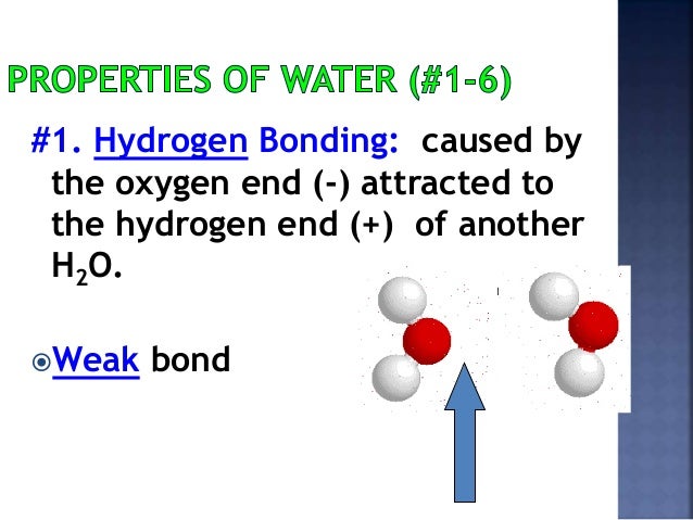 water properties ppt property of water