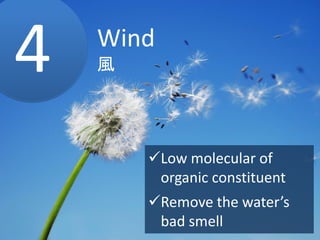 Photosynthesis, UV
光合成、紫外線3
Photosynthesis by
phytoplankton
Increase the dissolved
oxygen
Flock plankton