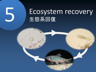 Wind
風4
Low molecular of
organic constituent
Remove the water’s
bad smell