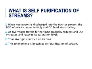 Self Purification Water purification processes in natural systems lecture 2 | PPTX