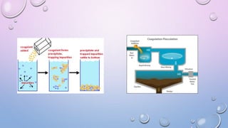 Water purification techniques | PPTX