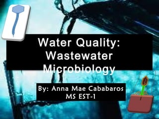 Water Quality:
Wastewater
Microbiology
By: Anna Mae Cababaros
MS EST-1
 