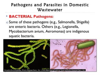 Water quality | PPT