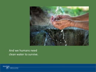 And we humans need
clean water to survive.
 