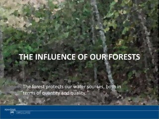 2020
THE INFLUENCE OF OUR FORESTS
The forest protects our water sources, both in
terms of quantity and quality.
 