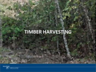 3535
TIMBER HARVESTING
 