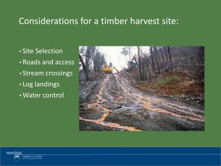 Considerations for a timber harvest site:
• Site Selection
• Roads and access
• Stream crossings
• Log landings
• Water control
 