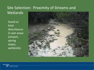 Avoid or
limit
disturbance
in wet areas
(stream,
spring
seeps,
wetlands).
Site Selection: Proximity of Streams and
Wetlands
 
