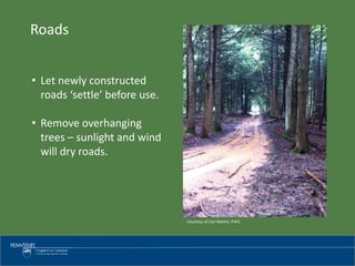 Roads
• Let newly constructed
roads ‘settle’ before use.
• Remove overhanging
trees – sunlight and wind
will dry roads.
Courtesy of Carl Martin, PAFS
 