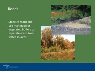 Stabilize roads and
use manmade or
vegetated buffers to
separate roads from
water sources.
Roads
 