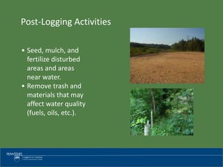 Post-Logging Activities
• Seed, mulch, and
fertilize disturbed
areas and areas
near water.
• Remove trash and
materials that may
affect water quality
(fuels, oils, etc.).
 