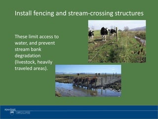 Install fencing and stream-crossing structures
These limit access to
water, and prevent
stream bank
degradation
(livestock, heavily
traveled areas).
 