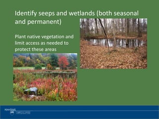 Identify seeps and wetlands (both seasonal
and permanent)
Plant native vegetation and
limit access as needed to
protect these areas
 