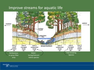 Herbaceous
or grass filter
strip
Water-
loving/tolerant
native species
Fast-Growing
Species
Improve streams for aquatic life
 