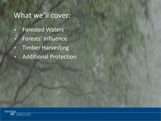 • Forested Waters
• Forests’ Influence
• Timber Harvesting
• Additional Protection
What we’ll cover:
 