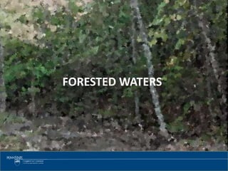 99
FORESTED WATERS
 