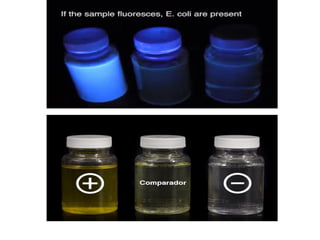Drinking Water Quality Evaluation   .ppt