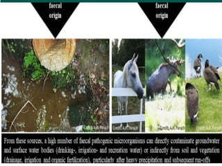 Drinking Water Quality Evaluation   .ppt