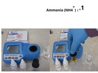.1
:
Ammonia (NH4
+
)
 