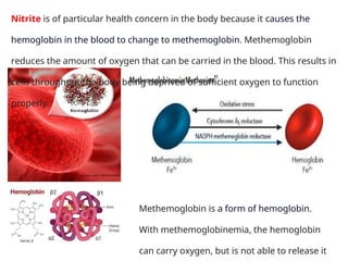 Methemoglobin is a form of hemoglobin.
With methemoglobinemia, the hemoglobin
can carry oxygen, but is not able to release it
Nitrite is of particular health concern in the body because it causes the
hemoglobin in the blood to change to methemoglobin. Methemoglobin
reduces the amount of oxygen that can be carried in the blood. This results in
cells throughout the body being deprived of sufficient oxygen to function
properly.
 
