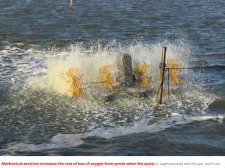 Mechanical aeration increases the rate of loss of oxygen from ponds when the water is supersaturated with this gas, and it can
 