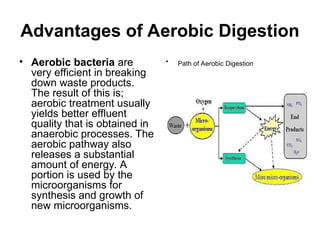 Advantages of Aerobic Digestion
• Aerobic bacteria are
very efficient in breaking
down waste products.
The result of this is;
aerobic treatment usually
yields better effluent
quality that is obtained in
anaerobic processes. The
aerobic pathway also
releases a substantial
amount of energy. A
portion is used by the
microorganisms for
synthesis and growth of
new microorganisms.
• Path of Aerobic Digestion
 