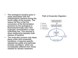 • The acetogenic bacteria grow in
close association with the
methanogenic bacteria during the
fourth stage of the process. The
reason for this is that the
conversion of the fermentation
products by the acetogens is
thermodynamically only if the
hydrogen concentration is kept
sufficiently low. This requires a
close relationship between both
classes of bacteria.
• The anaerobic process only takes
place under strict anaerobic
conditions. It requires specific
adapted bio-solids and particular
process conditions, which are
considerably different from those
needed for aerobic treatment.
Path of Anaerobic Digestion
 