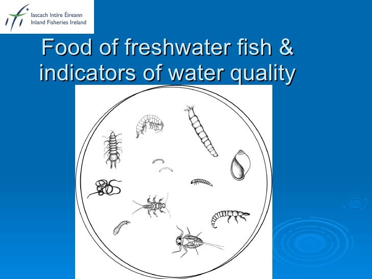 Water quality & fisheries