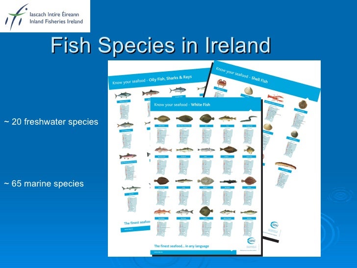 Water quality & fisheries