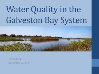 Water Quality in the
Galveston Bay System

Teresa Long
December 6, 2012

 