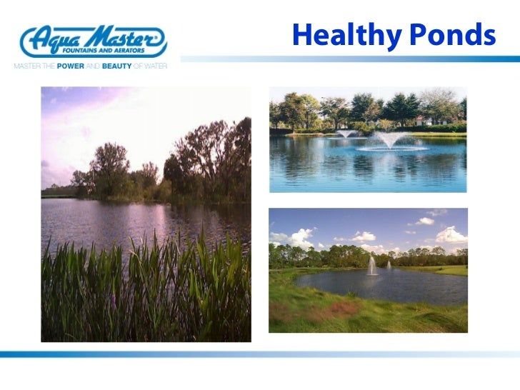 water quality management Outlines the national water quality manangement strategy, which aims to protect the nation's water resources. water quality management Outlines the national water quality manangement strategy, which aims to protect the nation's water resources.