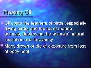 Floating OilFloating Oil
 Oil coats the feathers of birds (especiallyOil coats the feathers of birds (especially
diving birds) and the fur of marinediving birds) and the fur of marine
animals, destroying the animals’ naturalanimals, destroying the animals’ natural
insulation and buoyancyinsulation and buoyancy
 Many drown or die of exposure from lossMany drown or die of exposure from loss
of body heat.of body heat.
 