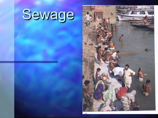 SewageSewage
 