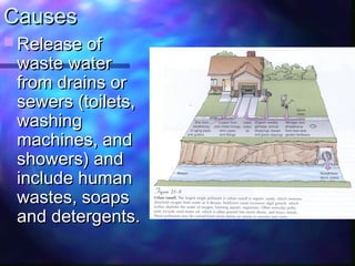 CausesCauses
 Release ofRelease of
waste waterwaste water
from drains orfrom drains or
sewers (toilets,sewers (toilets,
washingwashing
machines, andmachines, and
showers) andshowers) and
include humaninclude human
wastes, soapswastes, soaps
and detergents.and detergents.
 