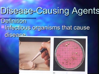 DefinitionDefinition
Infectious organisms that causeInfectious organisms that cause
disease.disease.
Disease-Causing AgentsDisease-Causing Agents
 