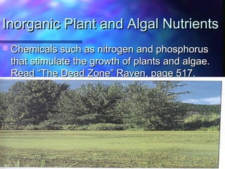  Chemicals such as nitrogen and phosphorusChemicals such as nitrogen and phosphorus
that stimulate the growth of plants and algae.that stimulate the growth of plants and algae.
Read “The Dead Zone” Raven, page 517.Read “The Dead Zone” Raven, page 517.
Inorganic Plant and Algal NutrientsInorganic Plant and Algal Nutrients
 